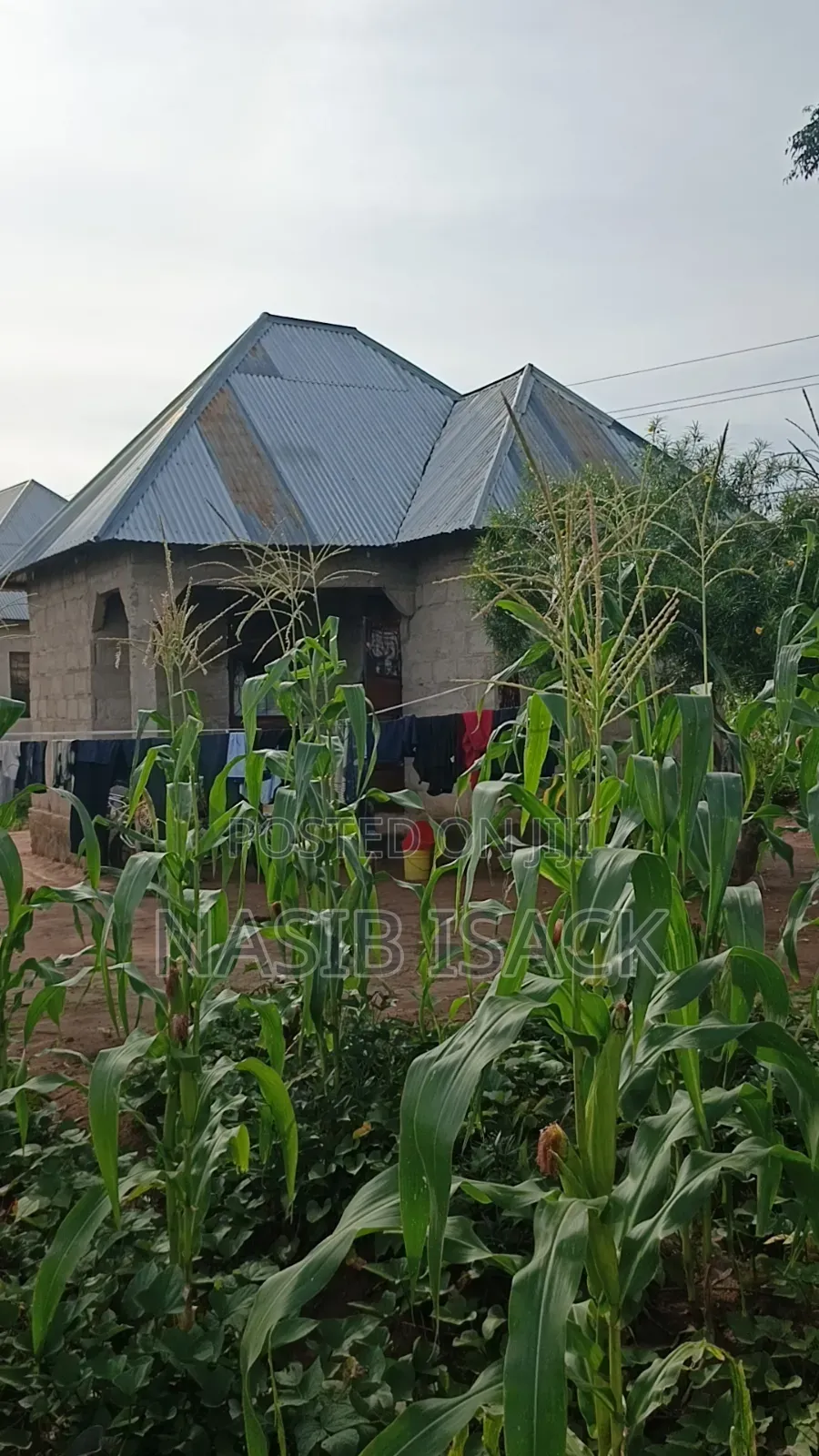 Plot for Sale Busweru Nyamadoke in Buswelu