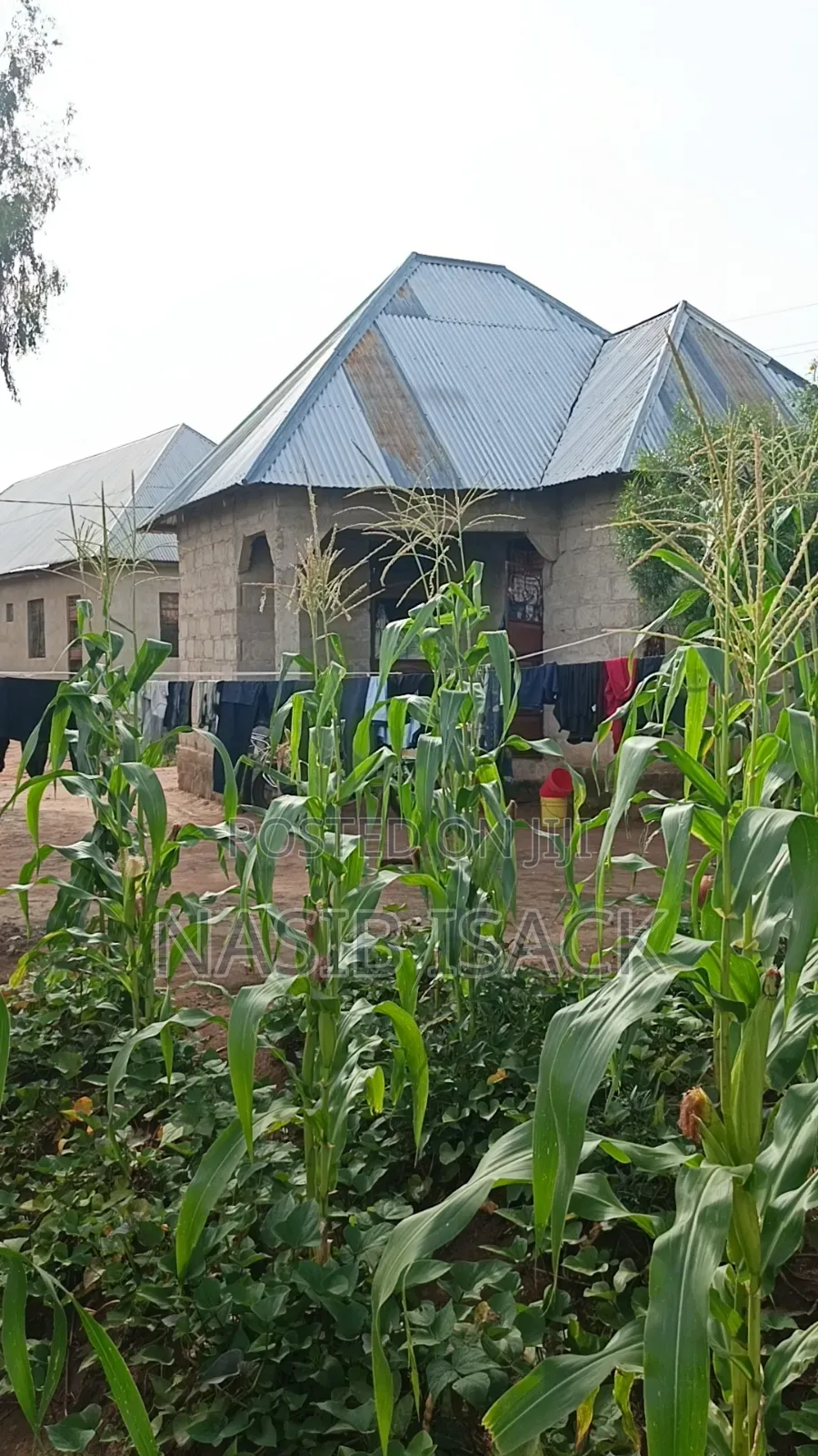 Plot for Sale Busweru Nyamadoke in Buswelu