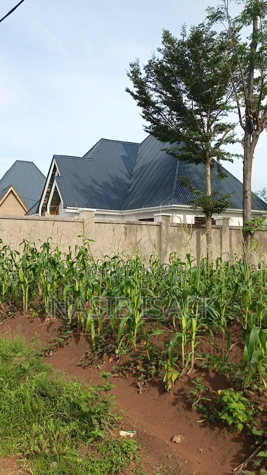 Plot for Sale Busweru Nyamadoke in Buswelu