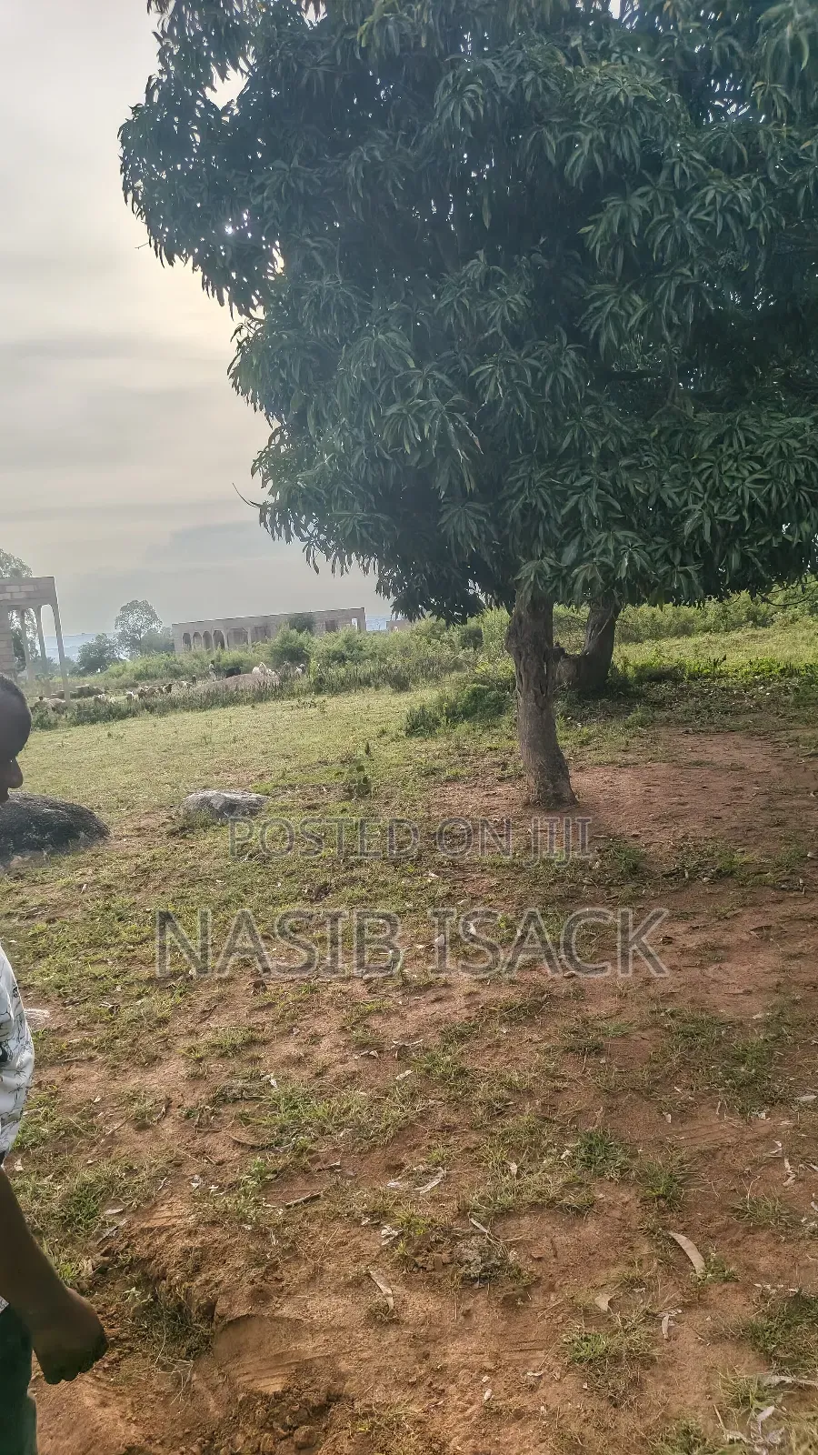 Plot for Sale Mwanza Busweru in Buswelu