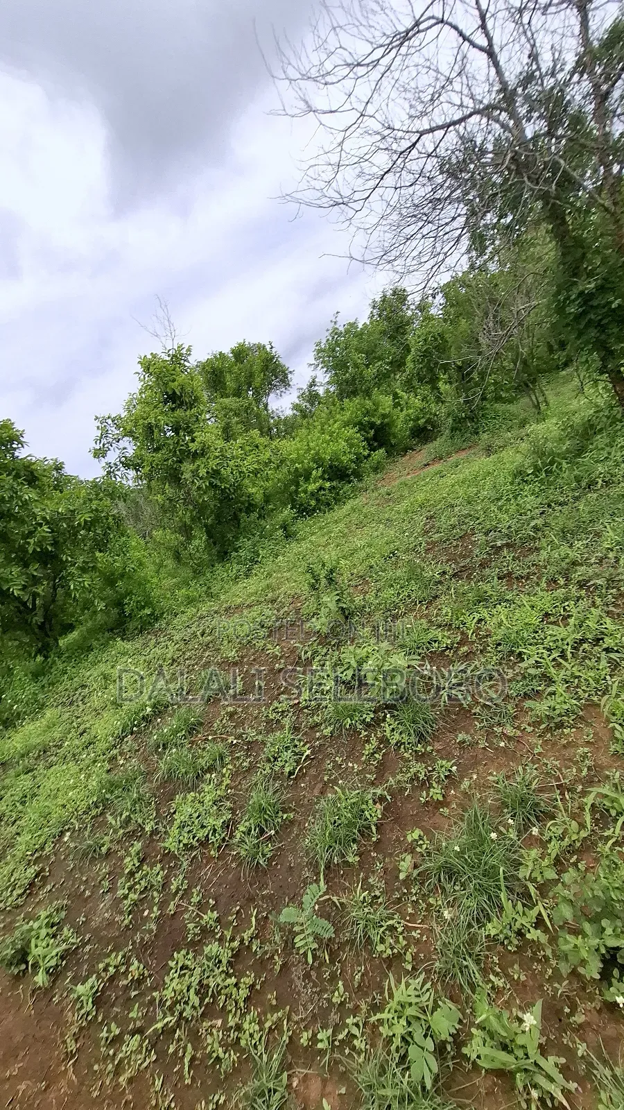 Plot at Dakawa Hector 30 Farming in Morogoro Rural