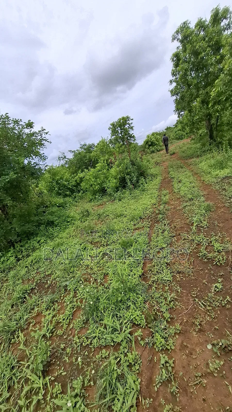 Plot at Dakawa Hector 30 Farming in Morogoro Rural