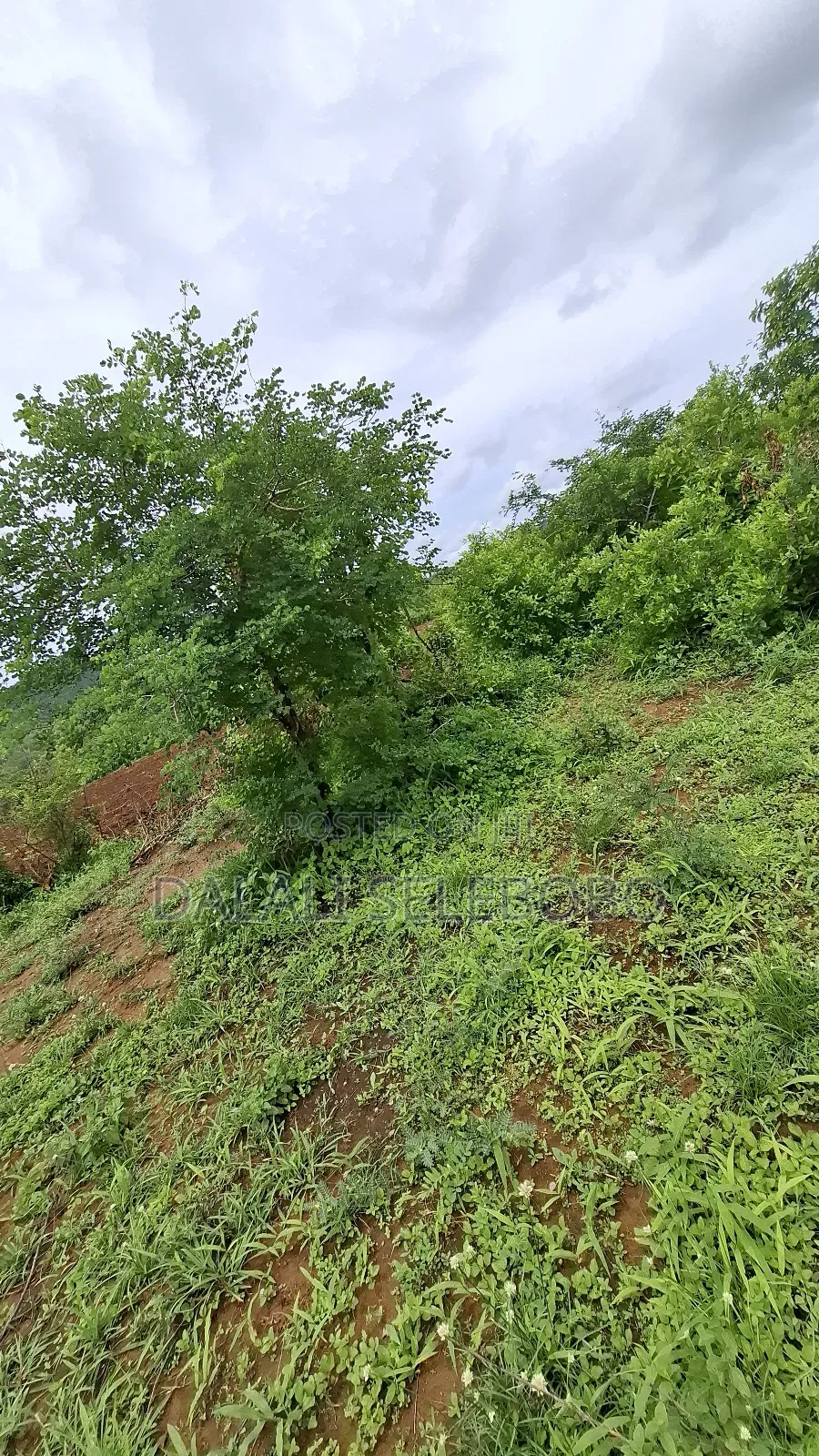 Plot at Dakawa Hector 30 Farming in Morogoro Rural