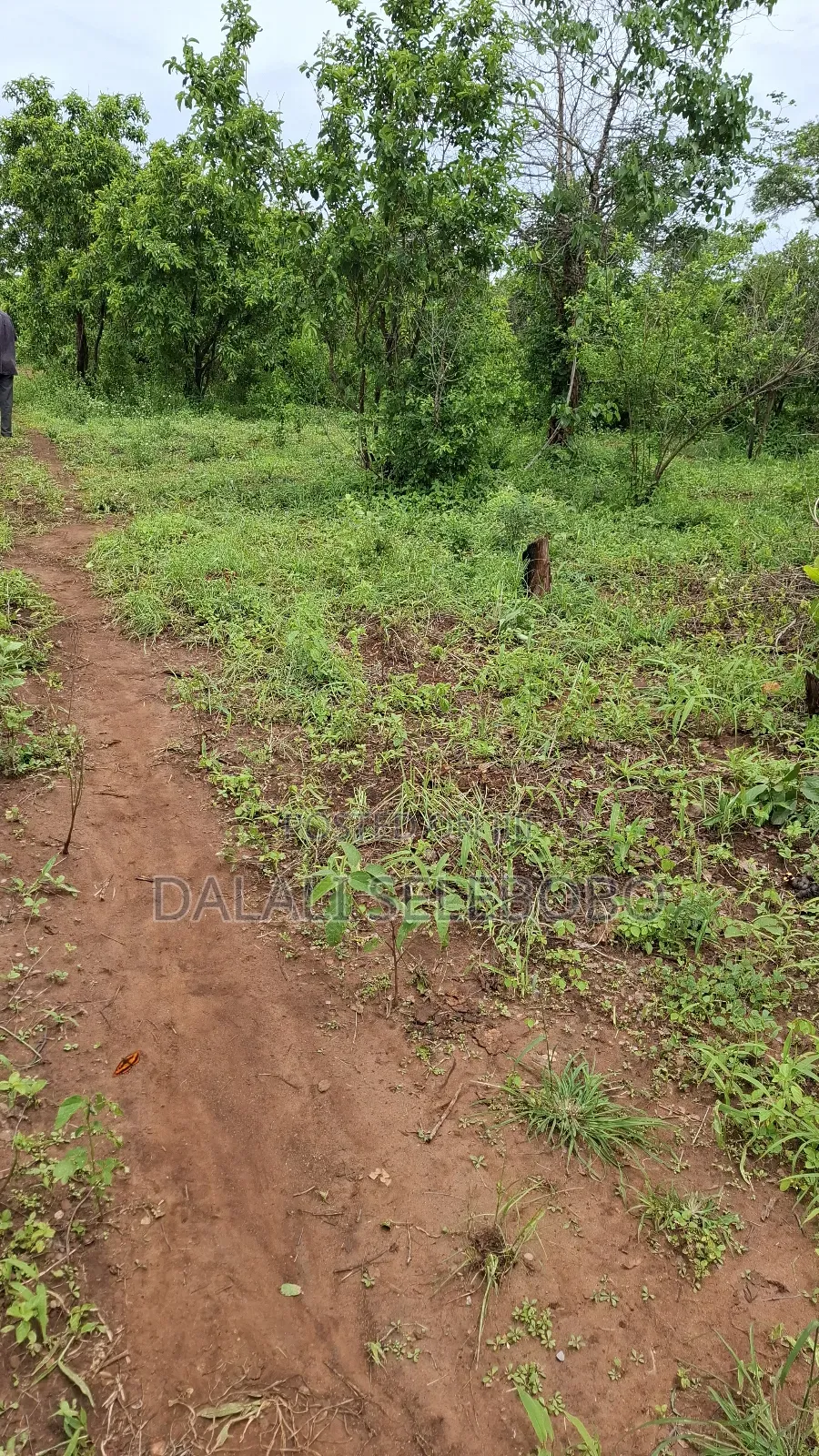 Plot at Dakawa Hector 30 Farming in Morogoro Rural