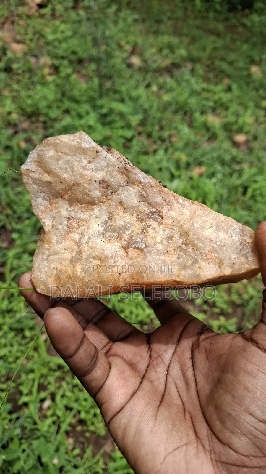 Permit Available Hector 150 for Pebbles in Msata in Msata