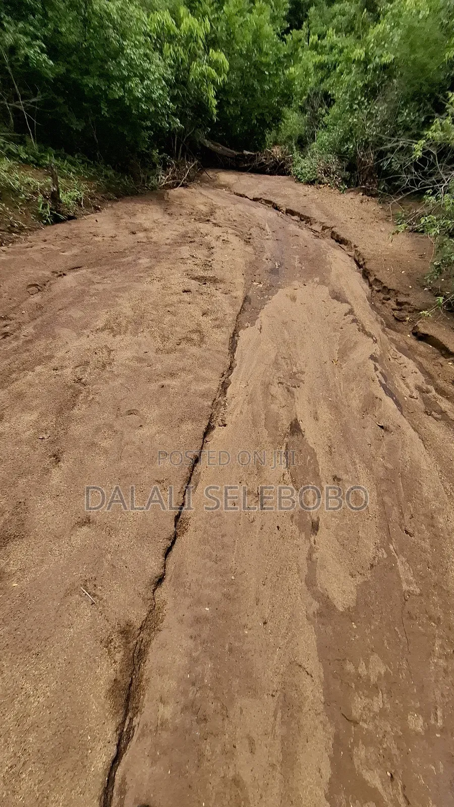 Permit Available Hector 150 for Pebbles in Msata in Msata