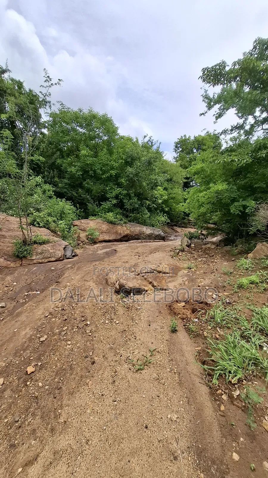 Permit Available Hector 150 for Pebbles in Msata in Msata
