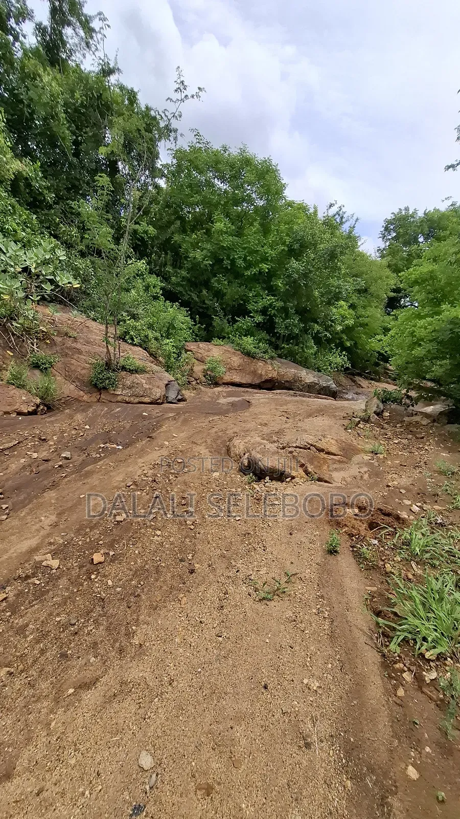 Permit Available Hector 150 for Pebbles in Msata in Msata