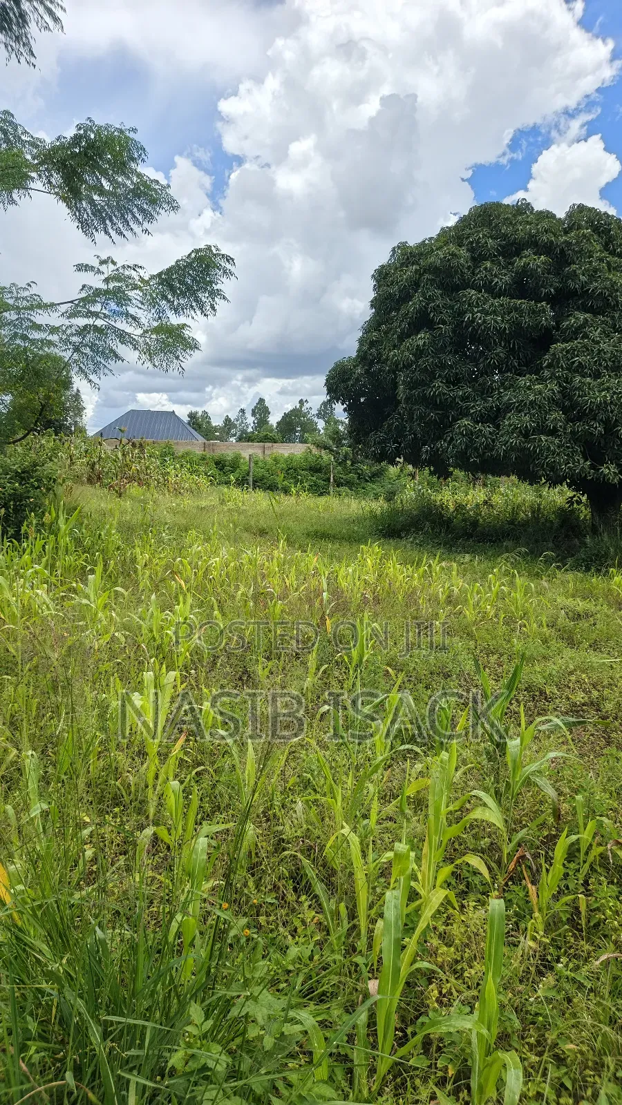 Plot for Sale Square Meters 6300 in Nyamongoro