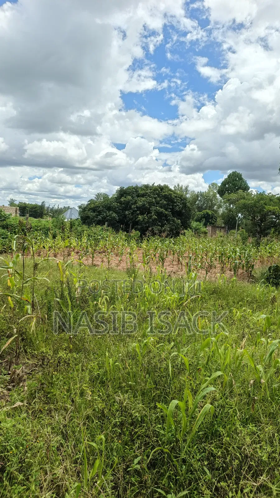 Plot for Sale Square Meters 6300 in Nyamongoro