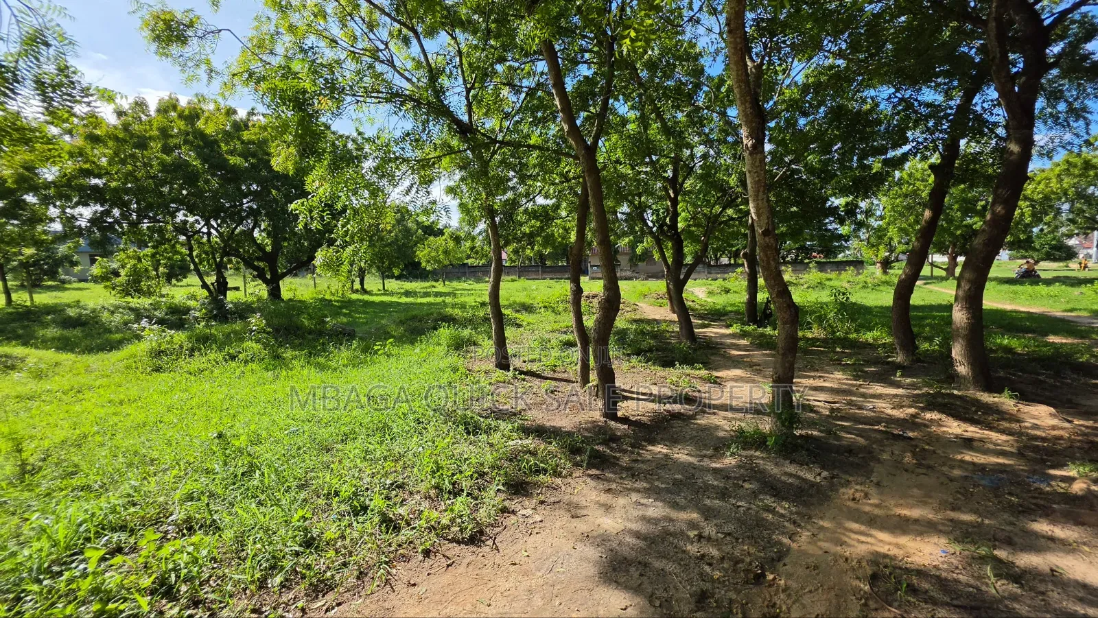Plot Area SQM 1000 for Sale at Salasala in Goba
