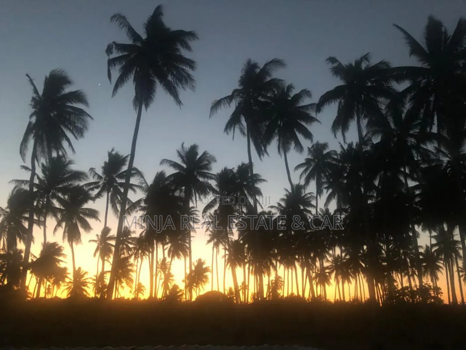 2bdrm House in Mafia Island for sale in Mafia Island