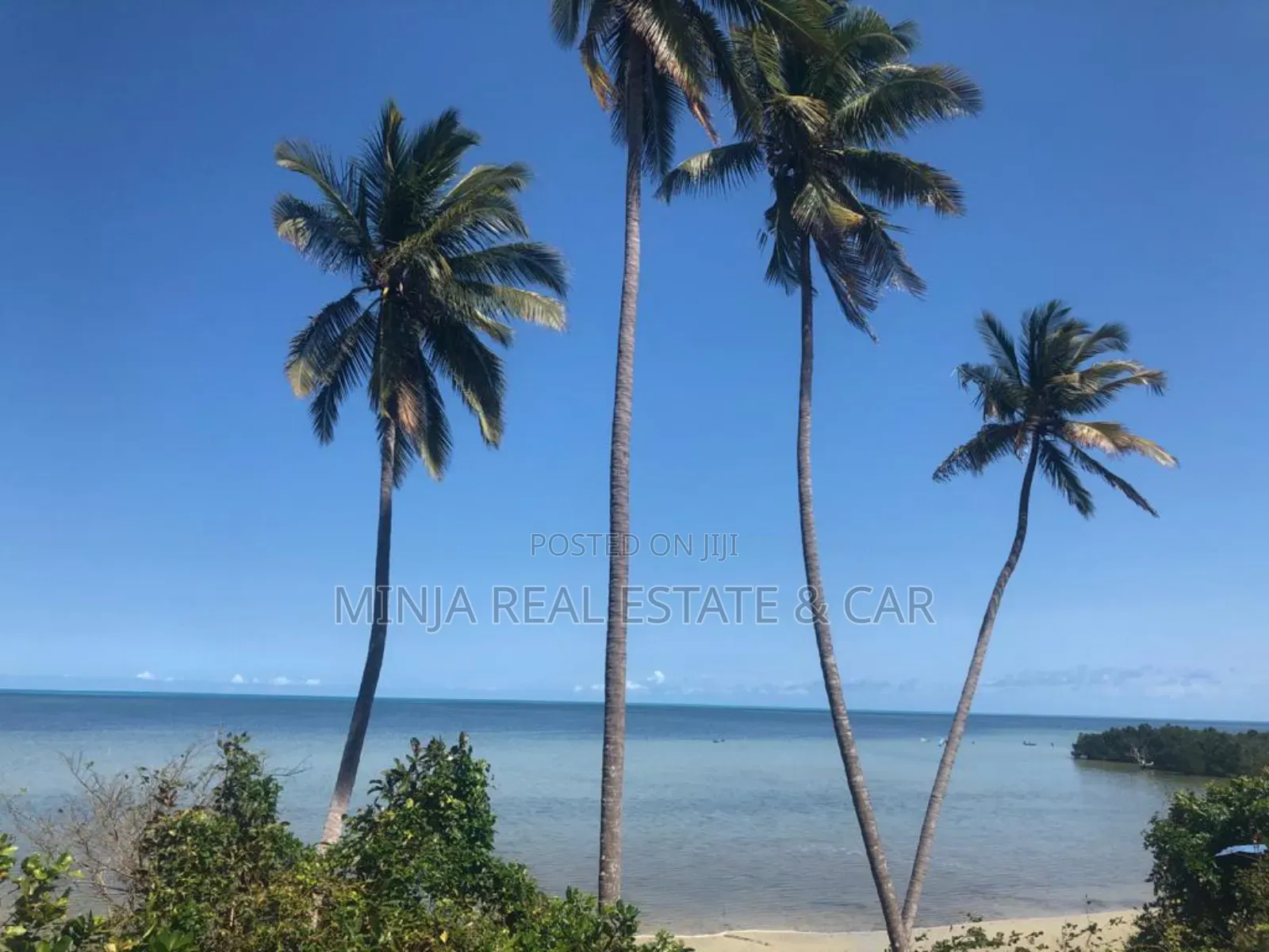 2bdrm House in Mafia Island for sale in Mafia Island
