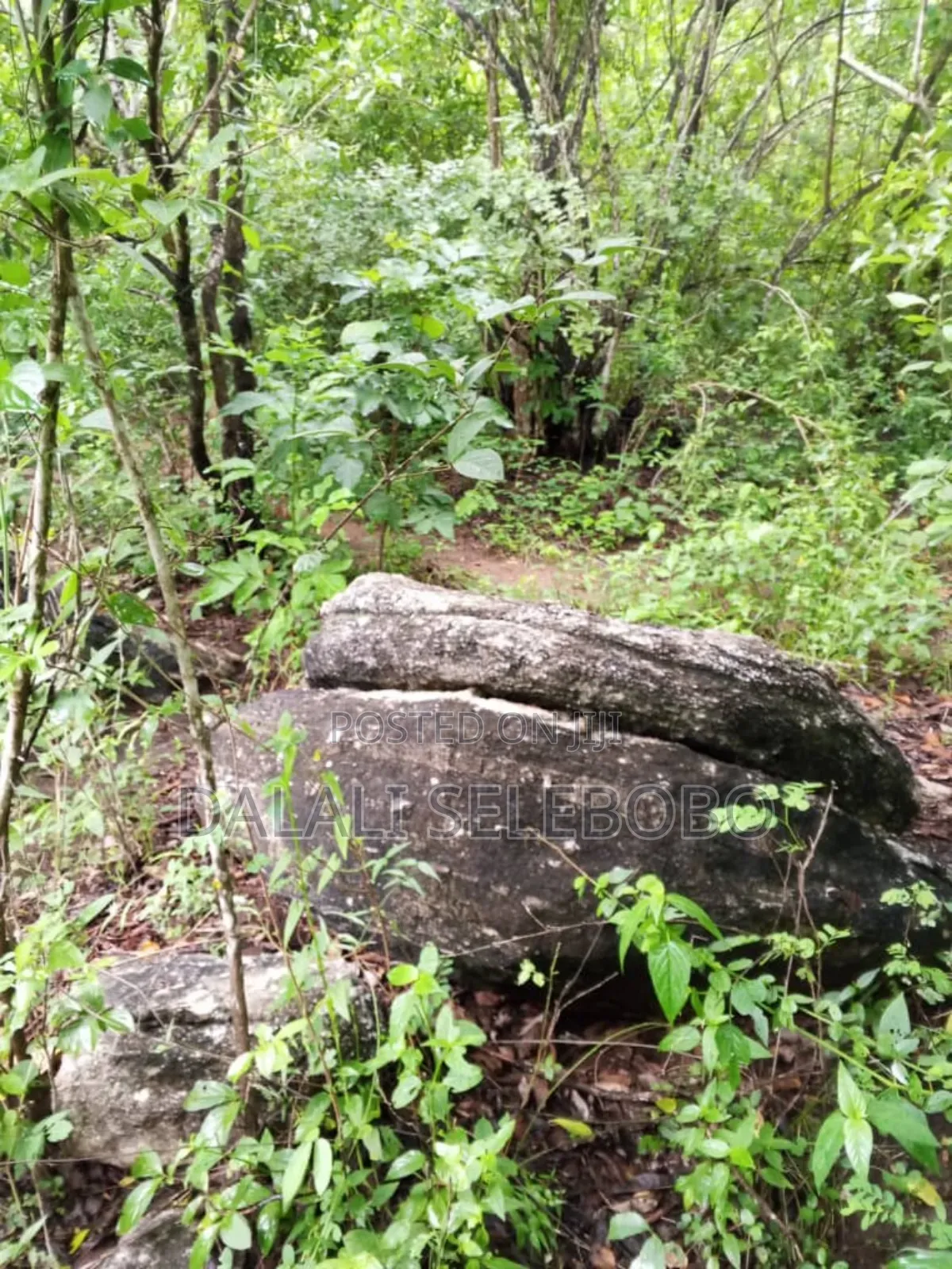 50 Hector of Mine Gravel at Lugoba in Lugoba