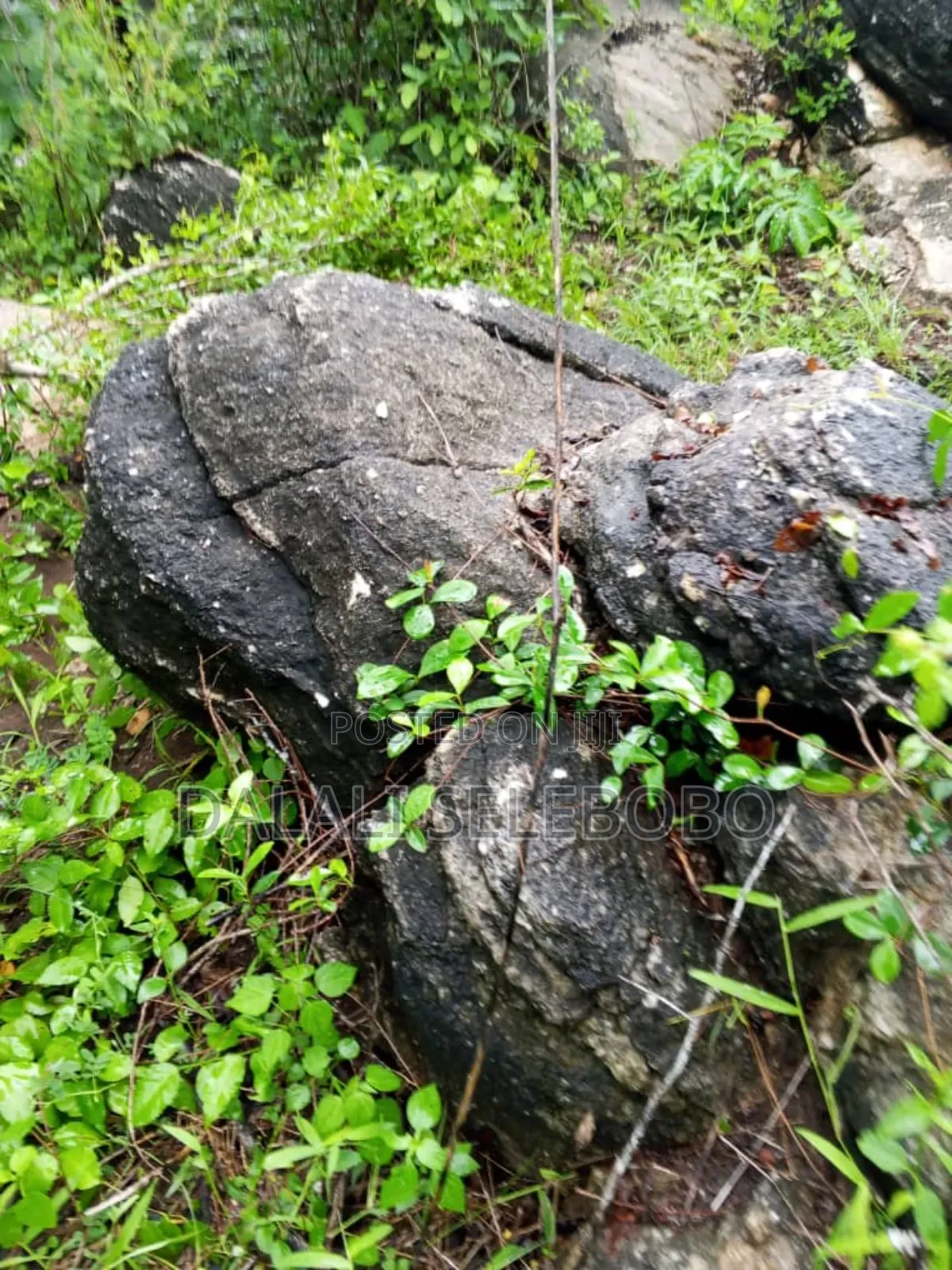 50 Hector of Mine Gravel at Lugoba in Lugoba
