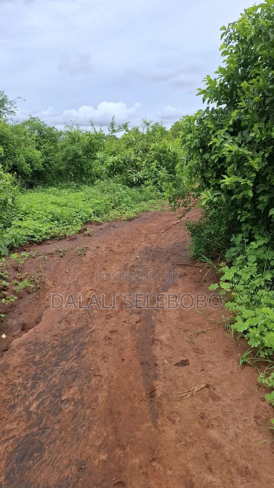 50 Hector of Mine Gravel at Lugoba in Lugoba