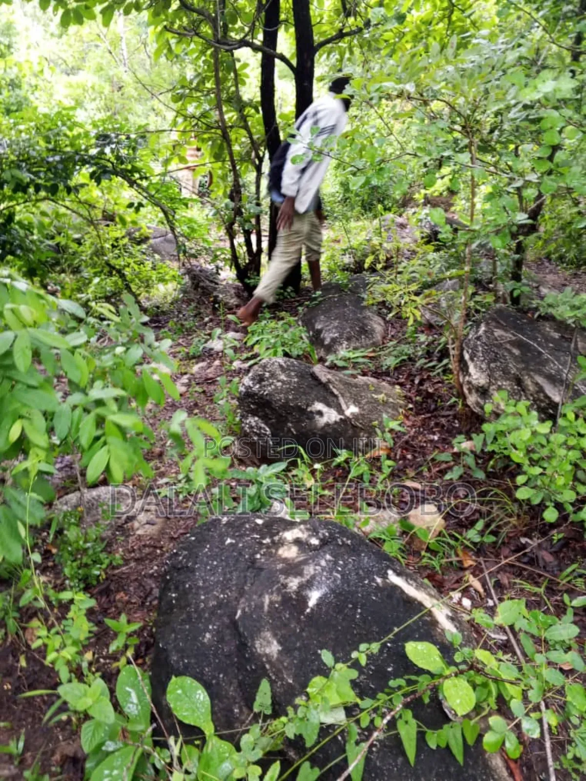 26 at Ubena Crushing Stone Gravel Hector 26 in Ubena