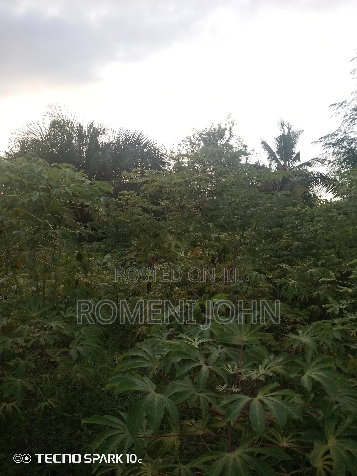 Kiwanja Kinauzwa Milioni 4.5 Ukonga Kwa Diwani. in Ukonga