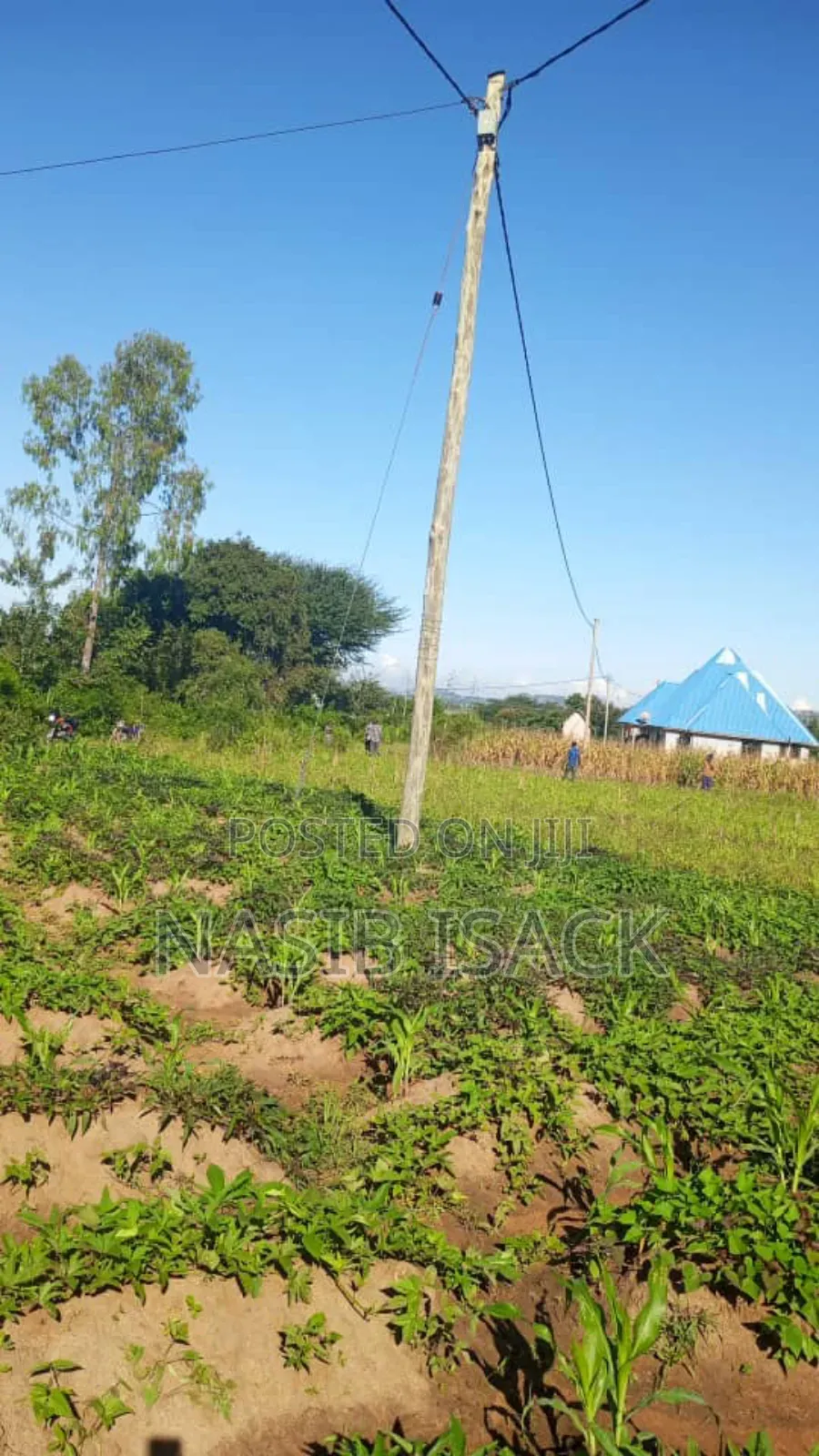 Kwanja Kinauzwa Mwanza-Fera in Fella
