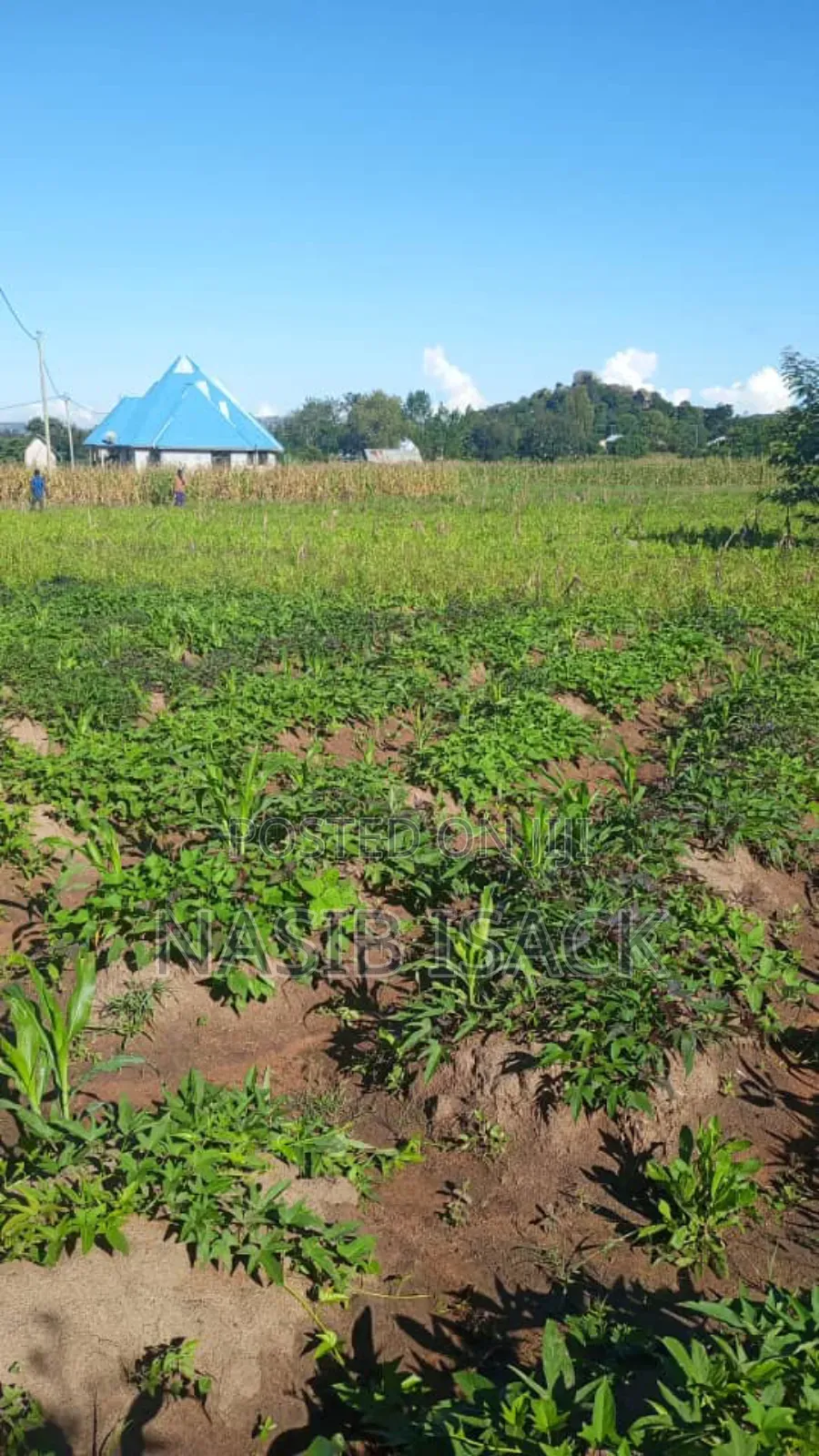 Kwanja Kinauzwa Mwanza-Fera in Fella