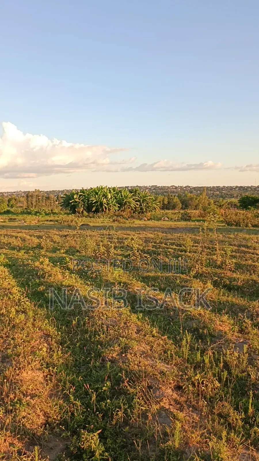 Kiwanja Kinauzwa Mwanza in Buswelu