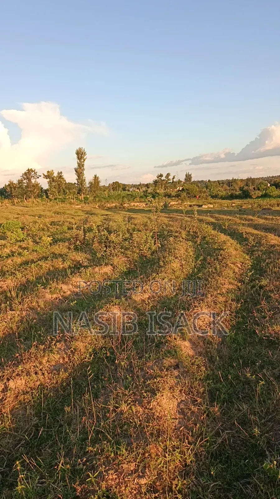 Kiwanja Kinauzwa Mwanza Ilalila in Buswelu