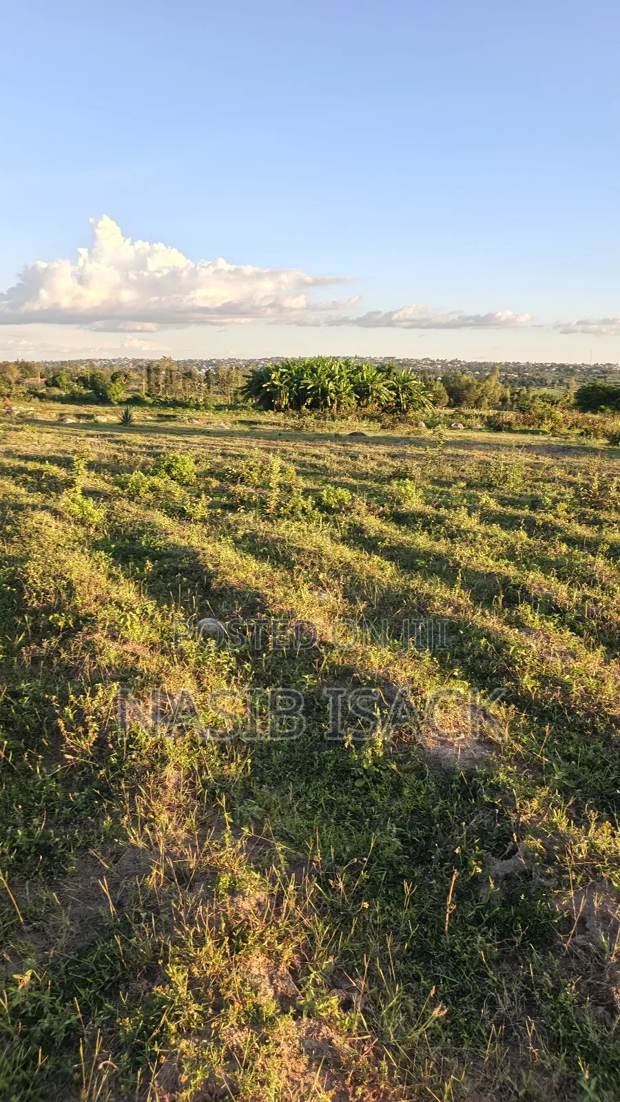 Plot For Sale in Buswelu
