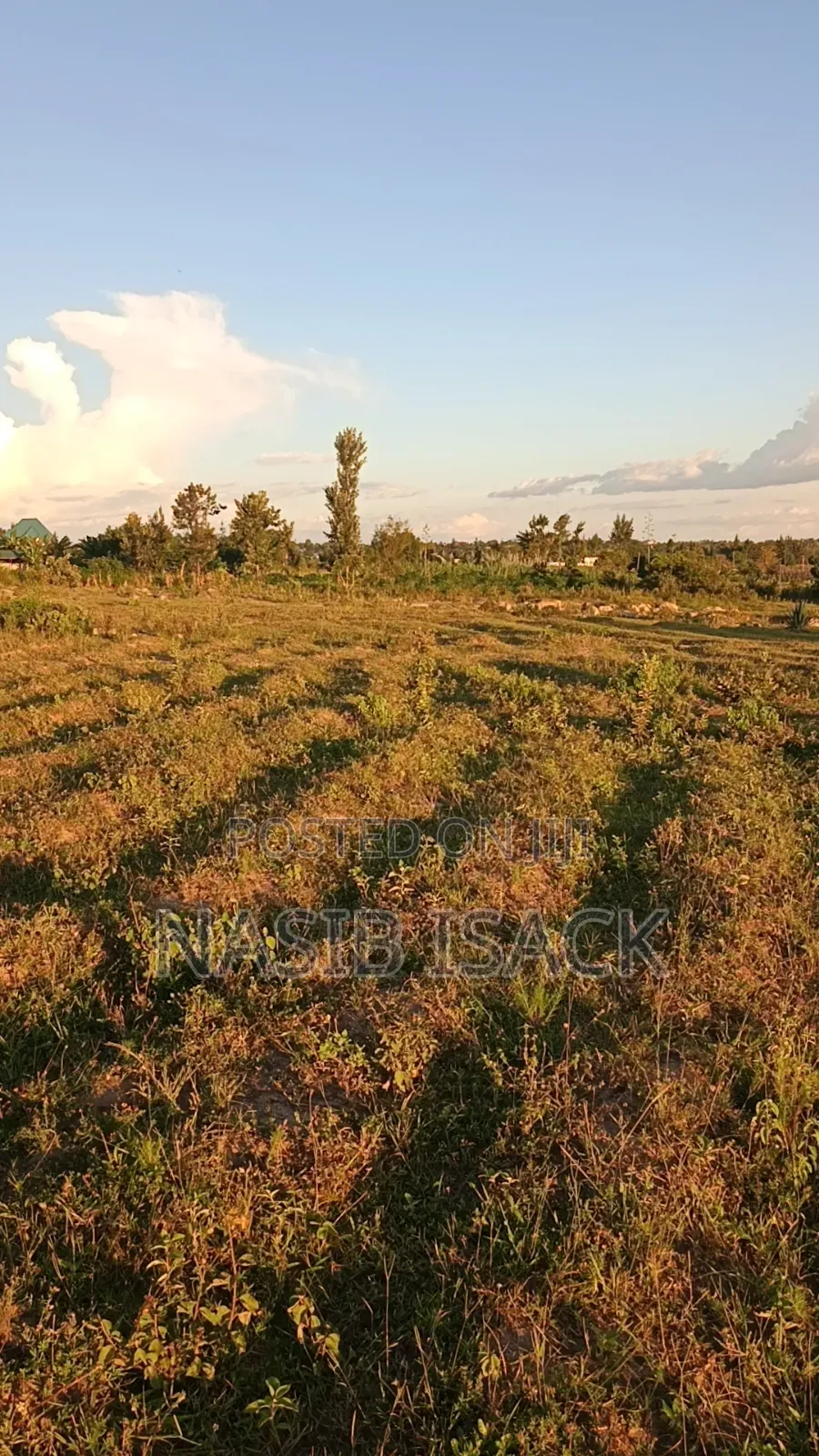 Plot For Sale in Buswelu
