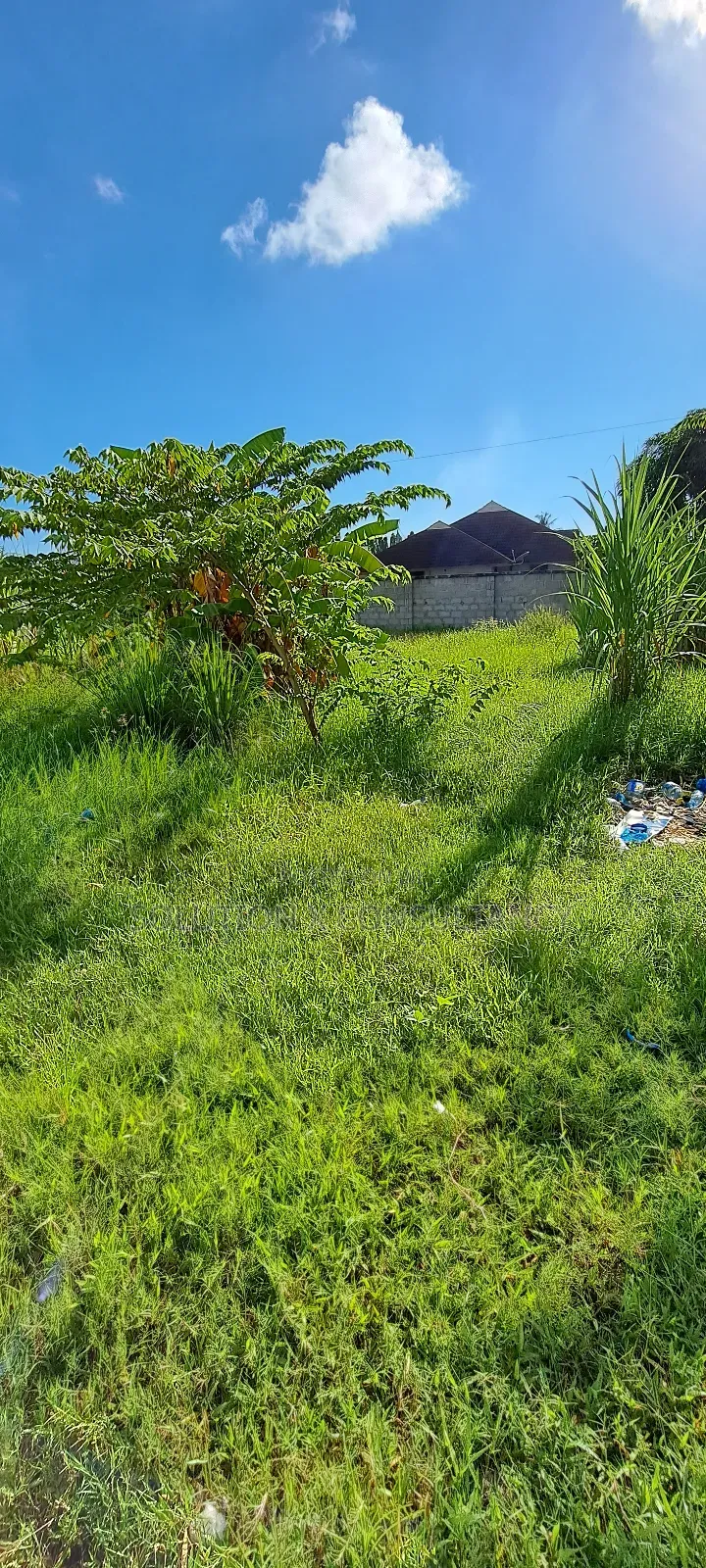 Kiwanja Kinauzwa Bahari Beach in Kunduchi