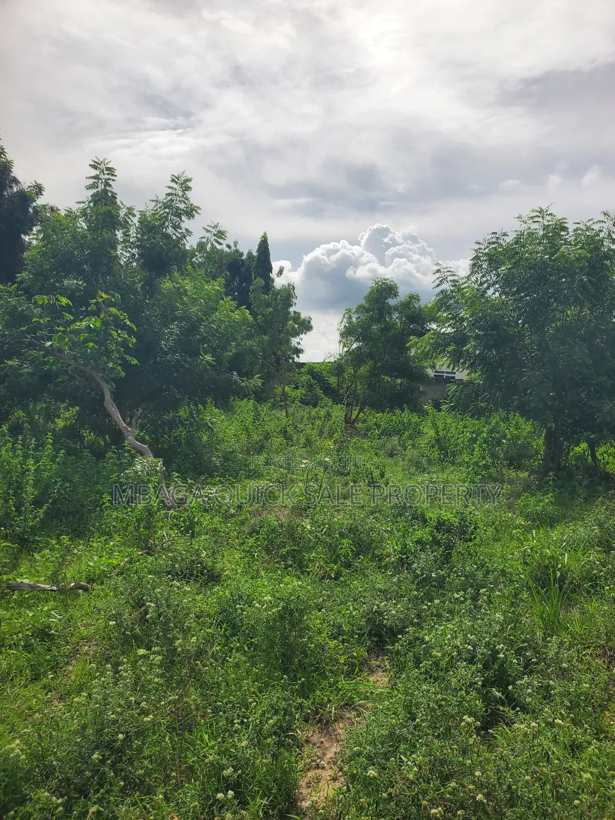 Plot Area SQM 1019 for Sale Located at Madale Atras in Goba