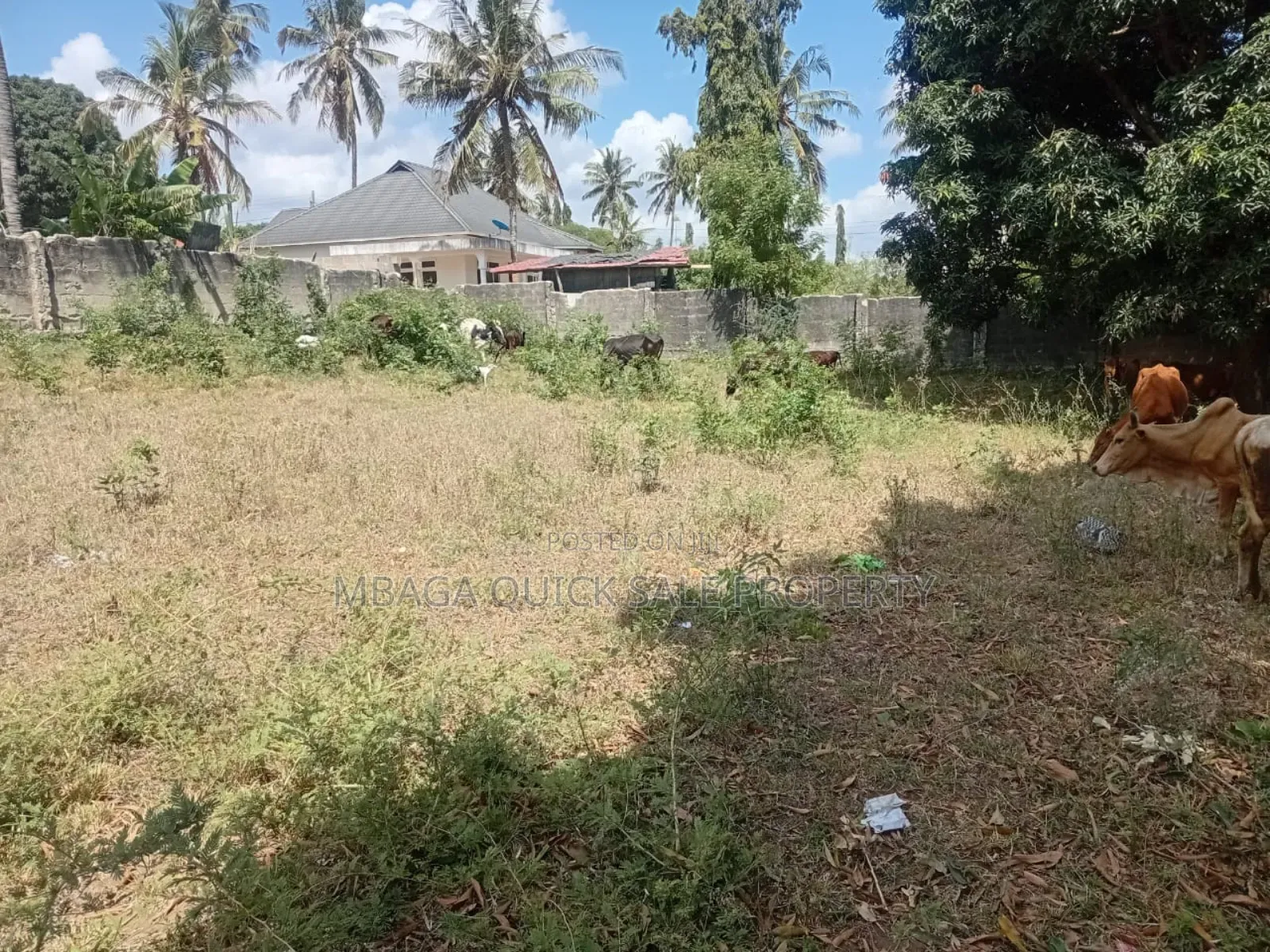 Plot Areq SQM 1000 for Sale at Bunju B in Bunju
