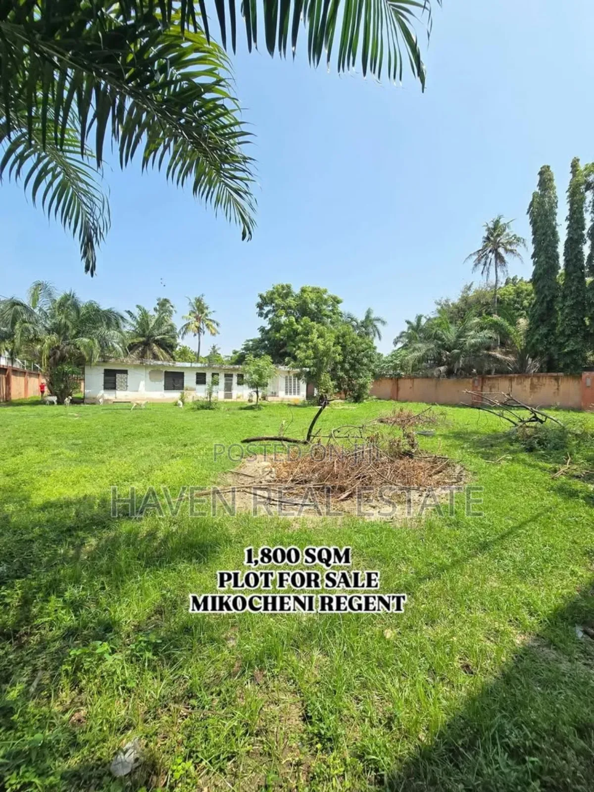 Plot for Sale at Mikocheni Reagent in Mikocheni
