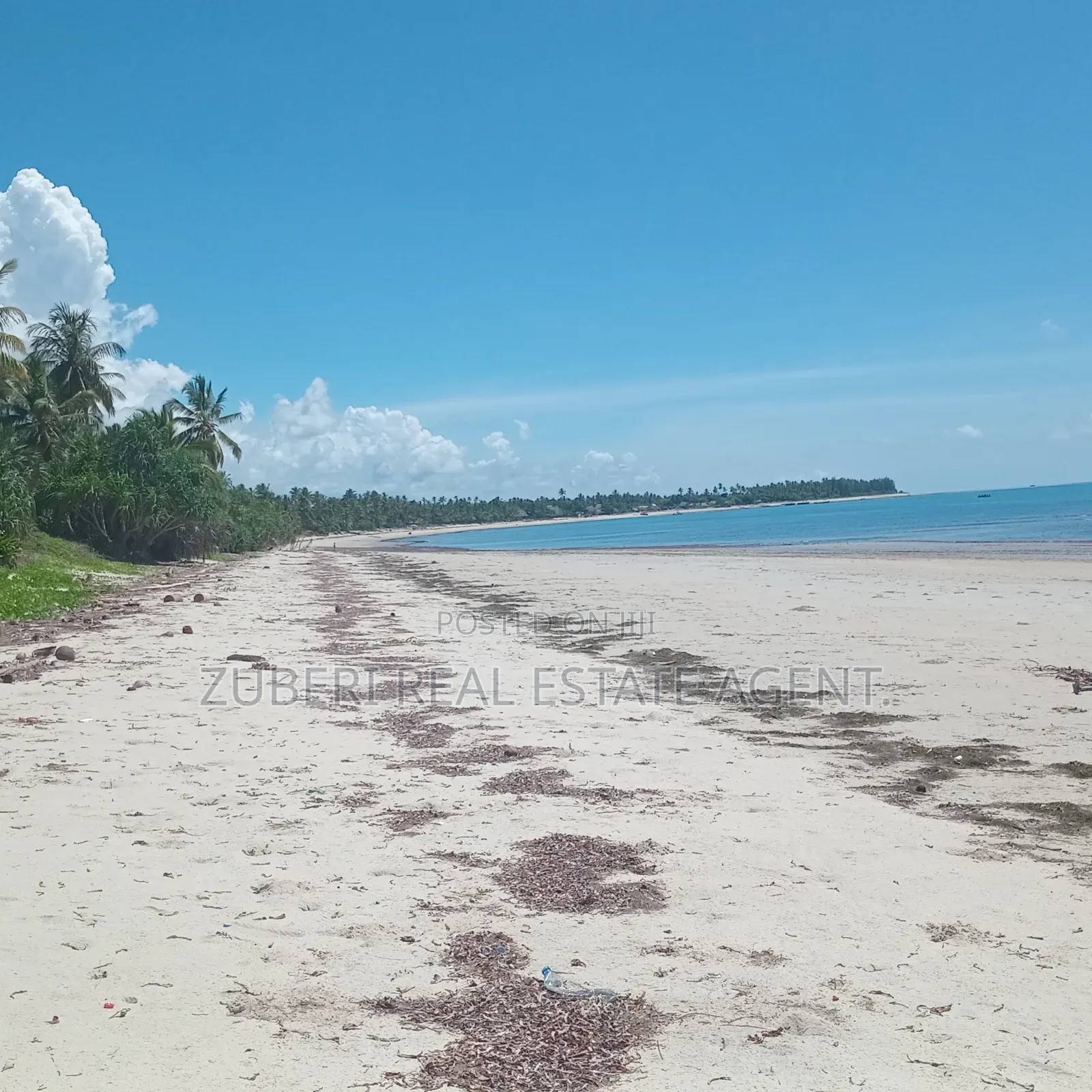 Beach Plot on Sale Ushongo Pangani Tanga. in Mwera