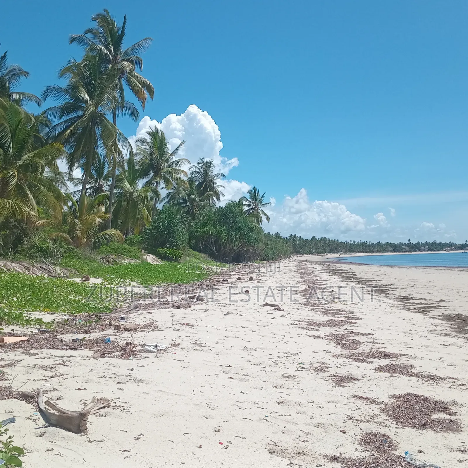 Beach Plot on Sale Ushongo Pangani Tanga. in Mwera