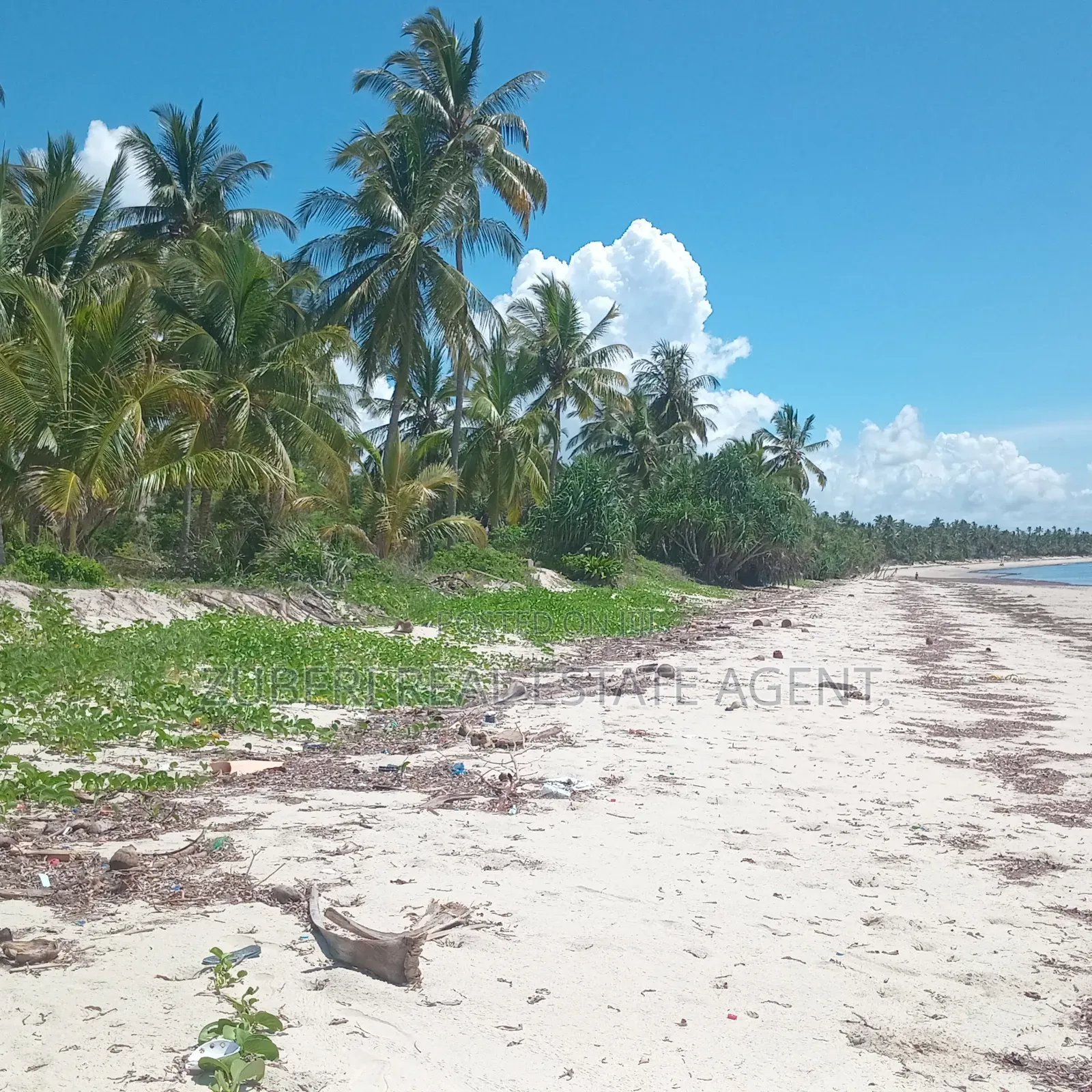 Beach Plot on Sale Ushongo Pangani Tanga. in Mwera