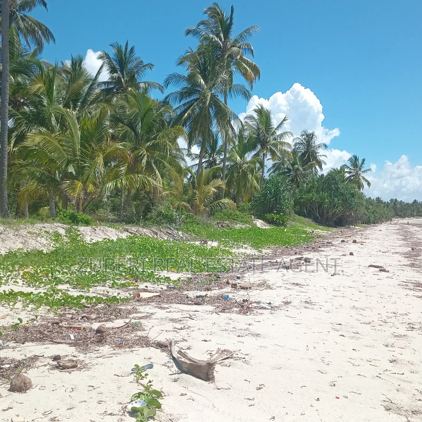Beach Plot on Sale Ushongo Pangani Tanga. in Mwera