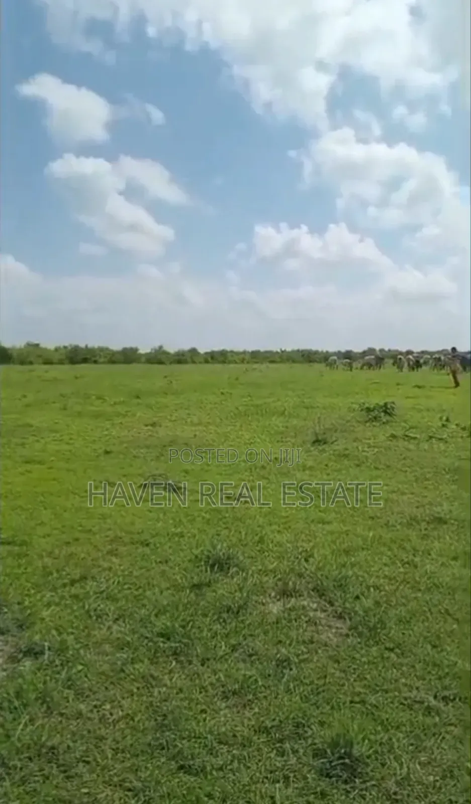 Shamba La Ekari 300 Linauzwa Msoga Bagamoyo in Chalinze