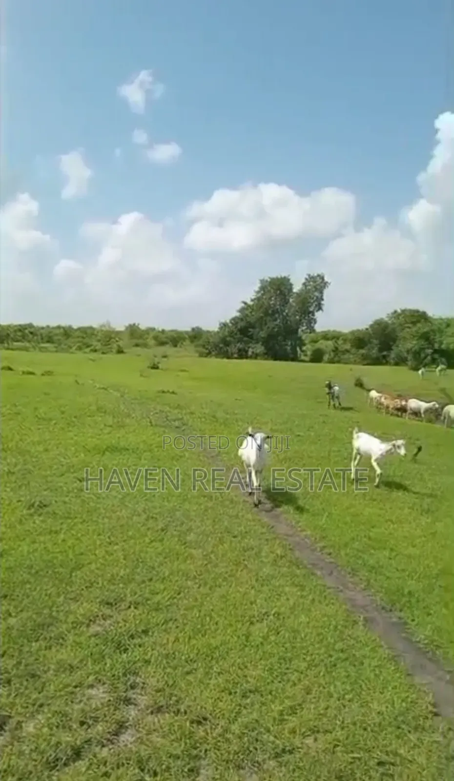 Shamba La Ekari 300 Linauzwa Msoga Bagamoyo in Chalinze