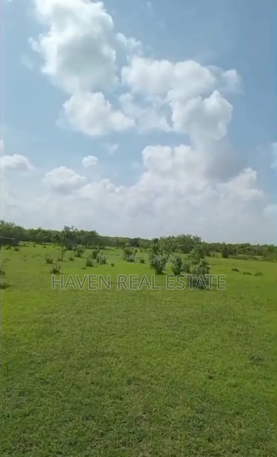 Shamba La Ekari 300 Linauzwa Msoga Bagamoyo in Chalinze