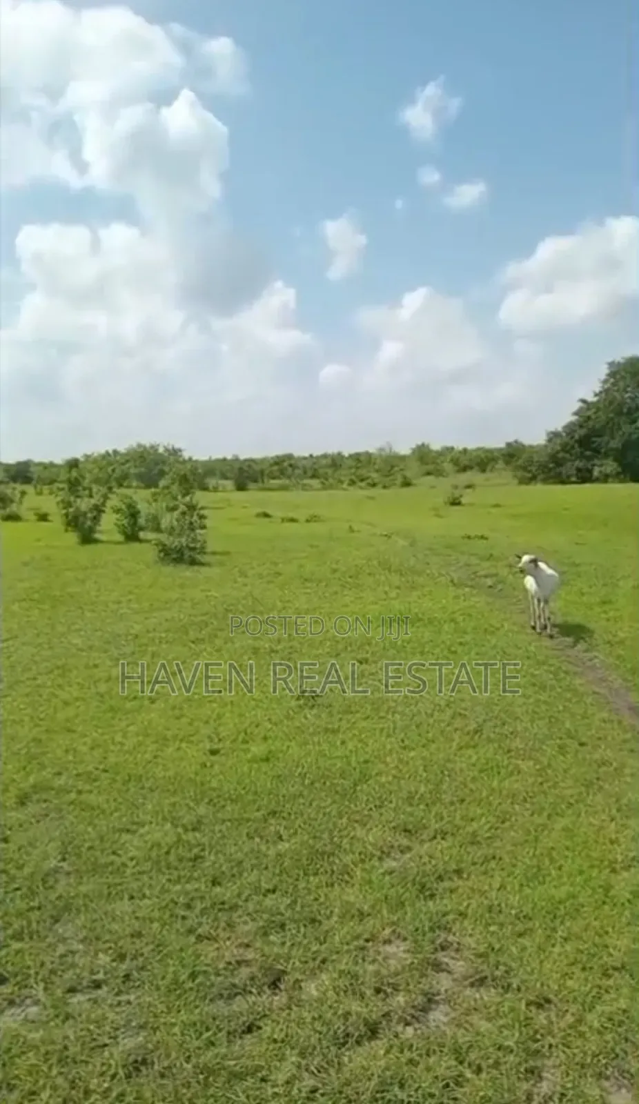 Shamba La Ekari 300 Linauzwa Msoga Bagamoyo in Chalinze