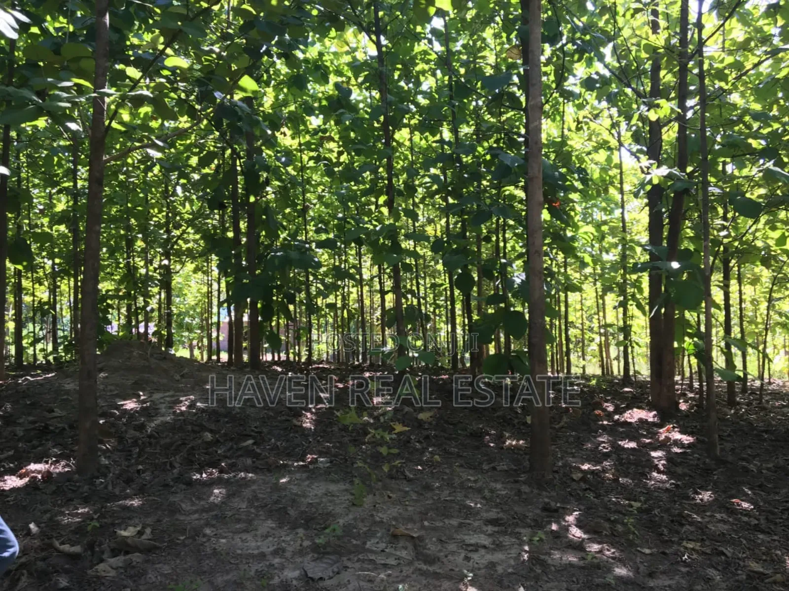 Shamba La Ekari 374 Linauzwa Ifakara Morogoro in Ifakara
