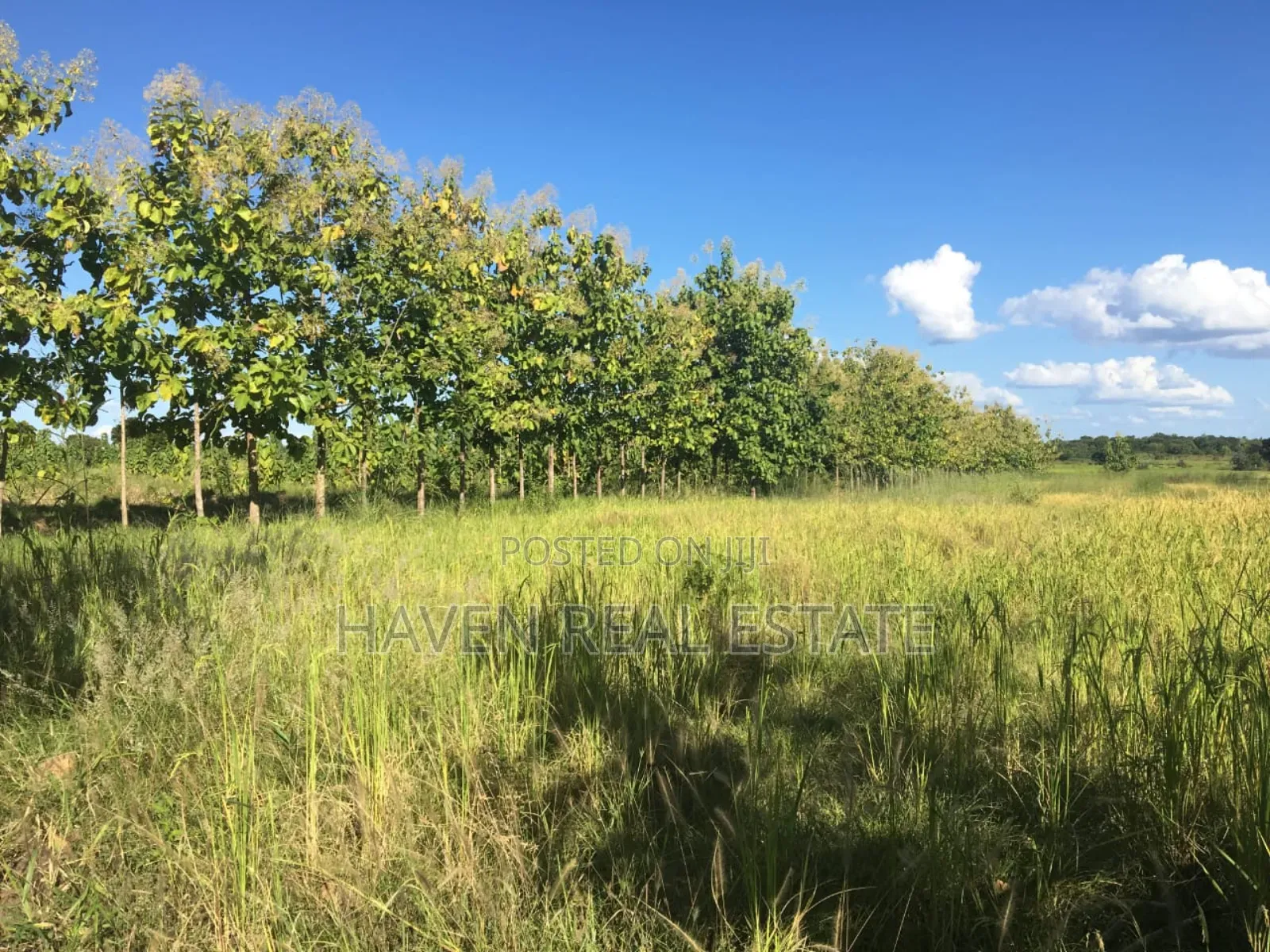 Shamba La Ekari 374 Linauzwa Ifakara Morogoro in Ifakara
