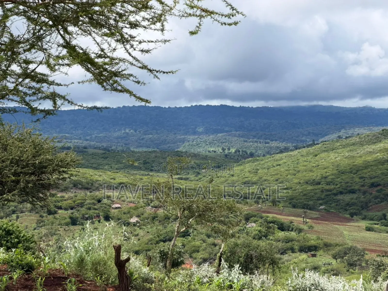 20 Acre For Investment In Karatu – Overlooking Ngorongoro Rim* in Ngorongoro
