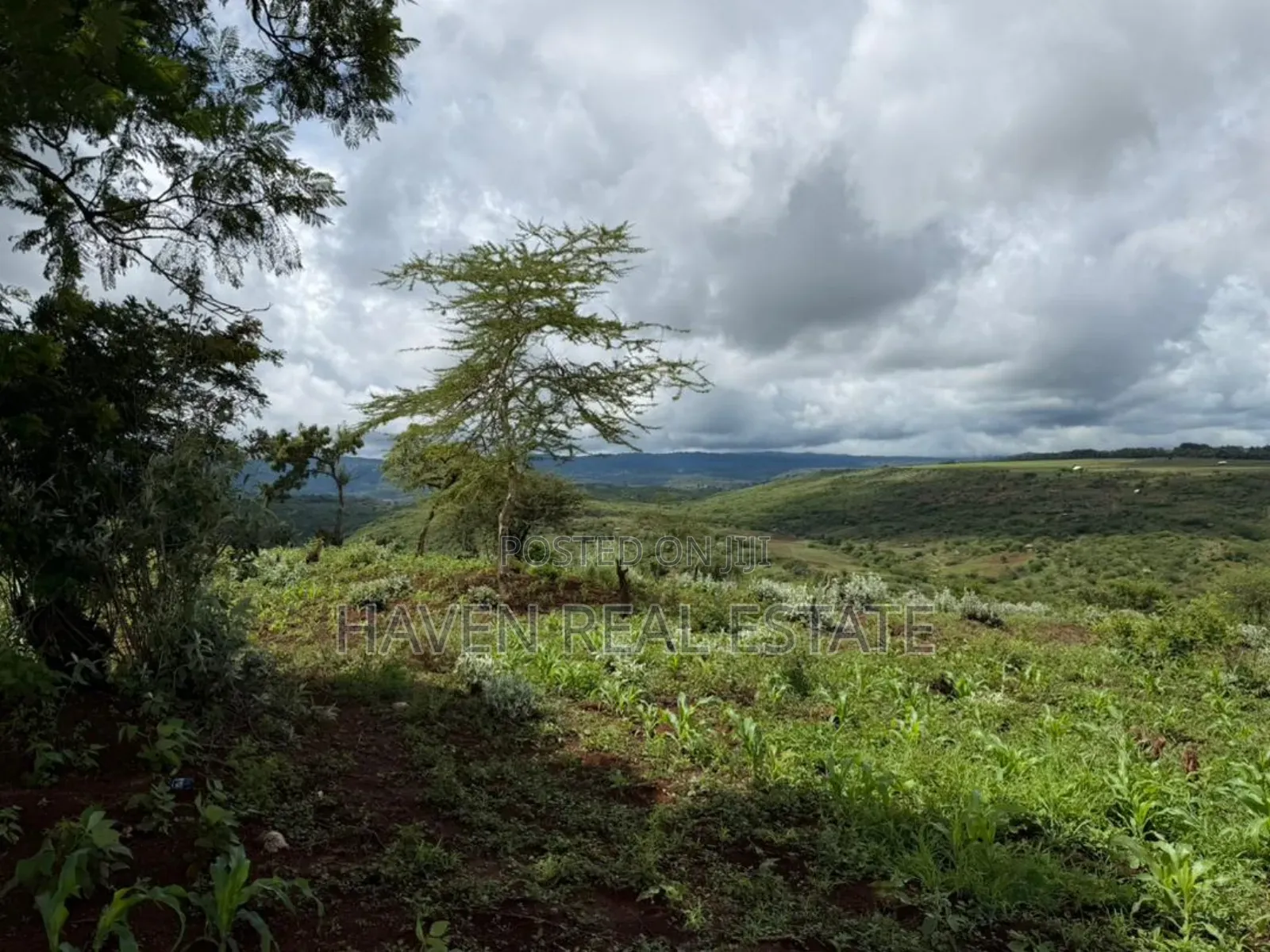 20 Acre For Investment In Karatu – Overlooking Ngorongoro Rim* in Ngorongoro