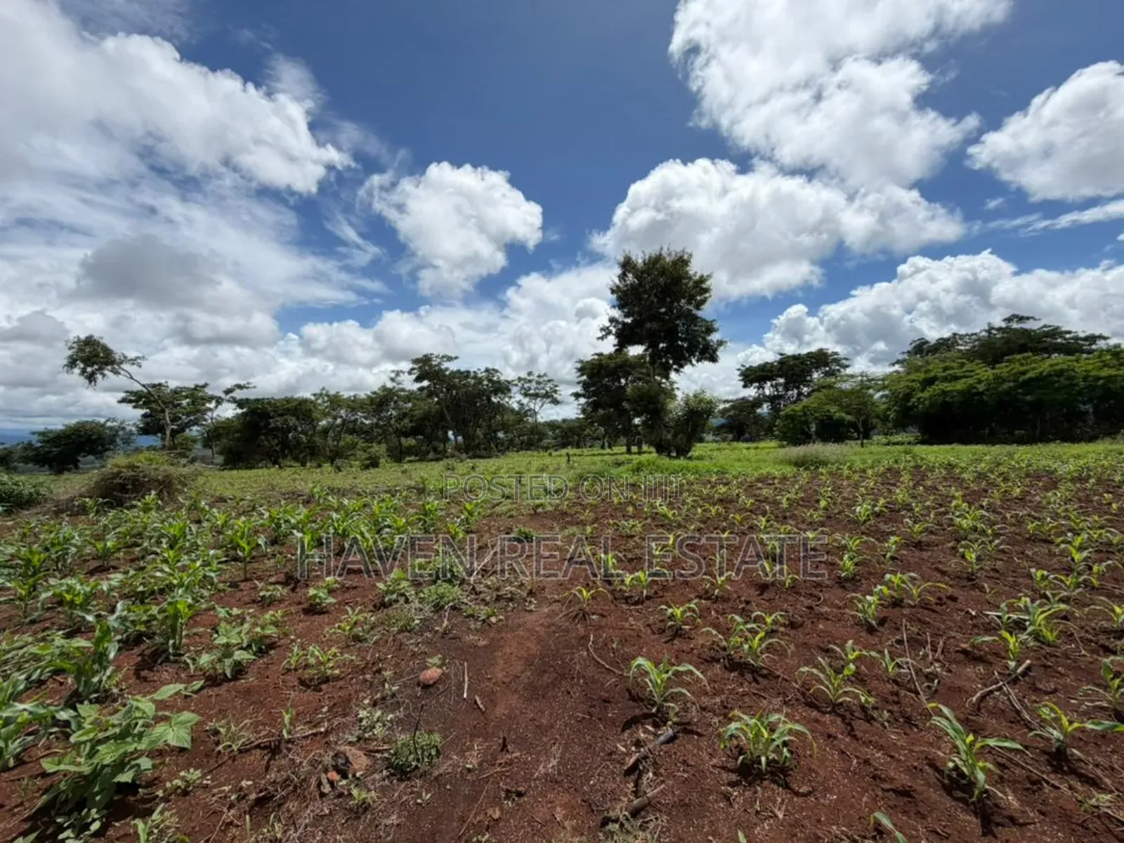 20 Acre For Investment In Karatu – Overlooking Ngorongoro Rim* in Ngorongoro