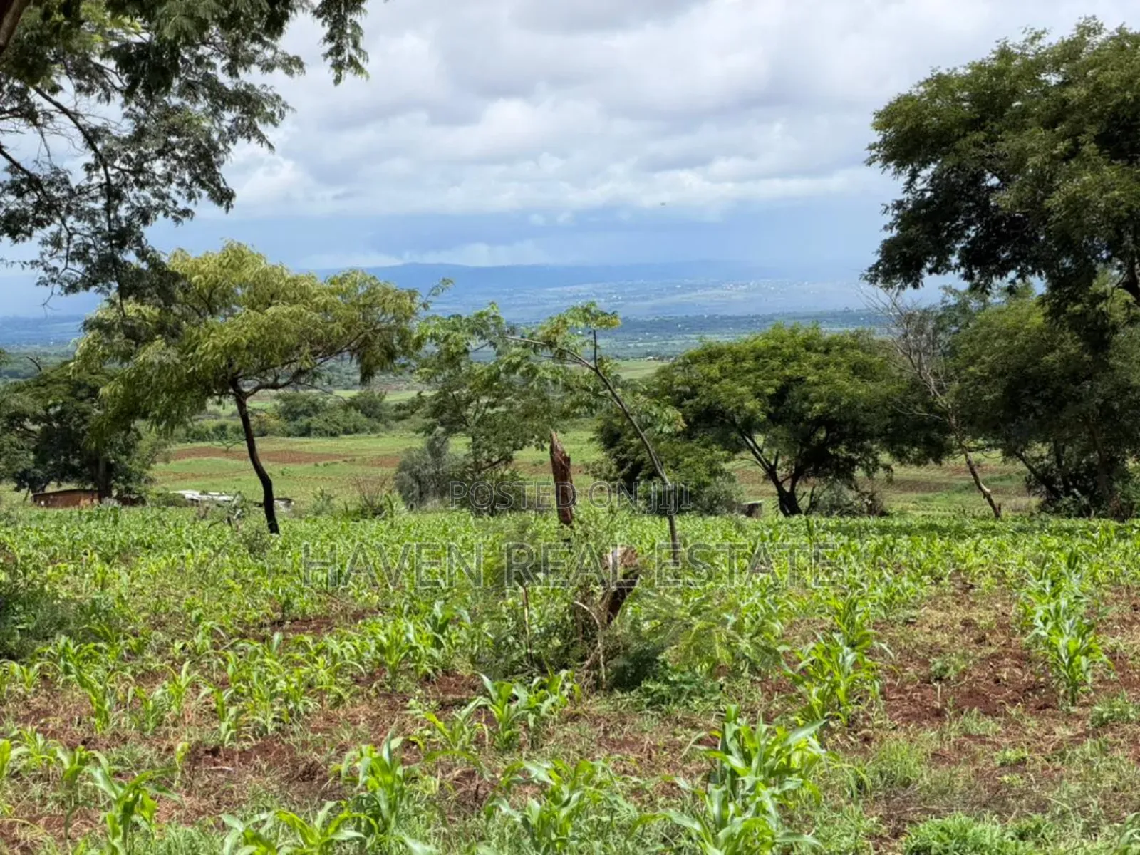 20 Acre For Investment In Karatu – Overlooking Ngorongoro Rim* in Ngorongoro