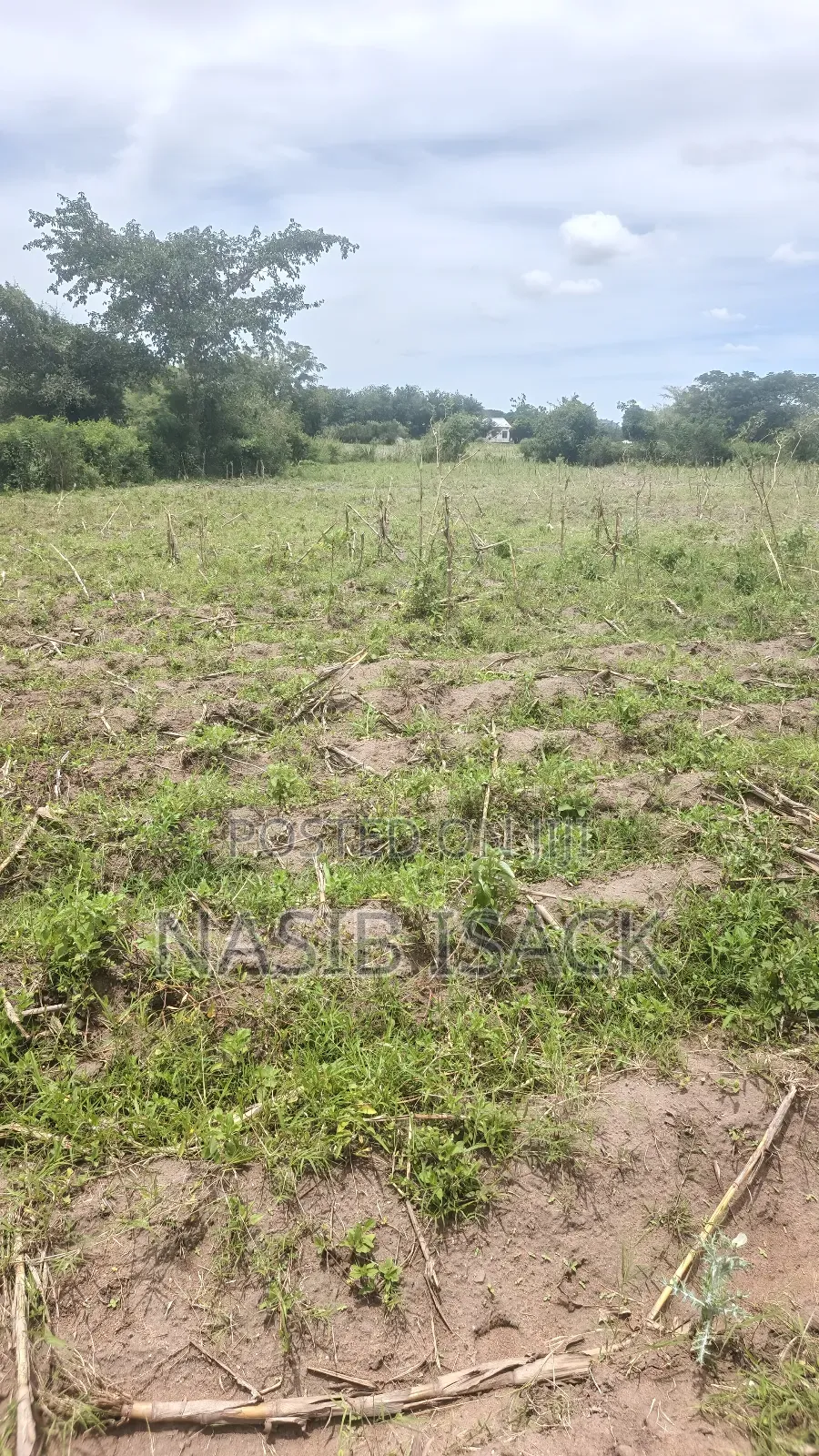 Land for Sale in Fella