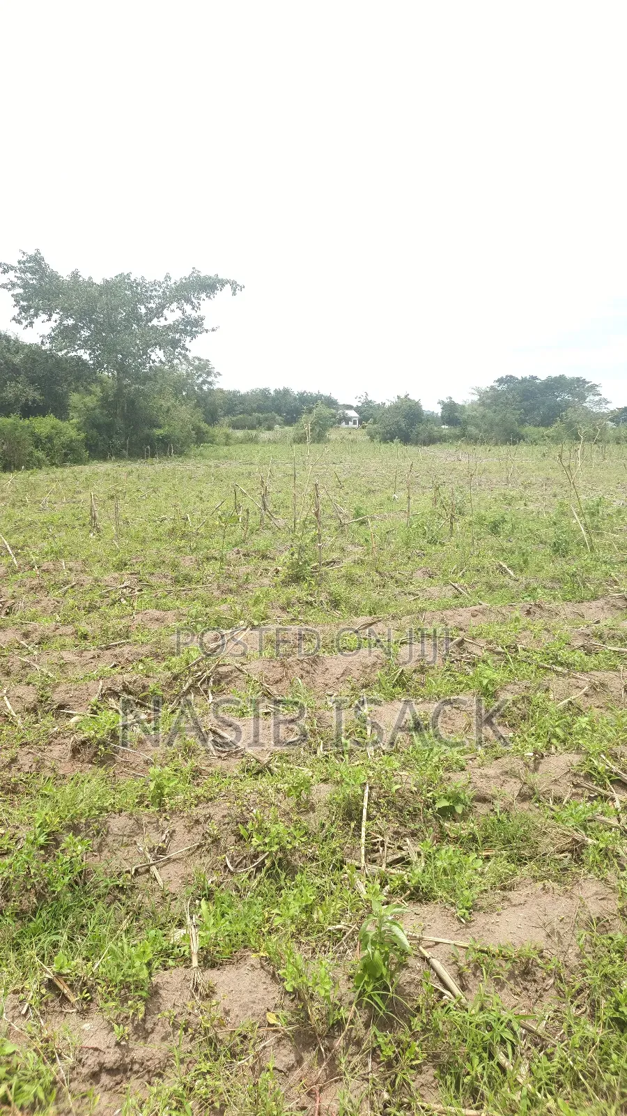 Land for Sale in Fella
