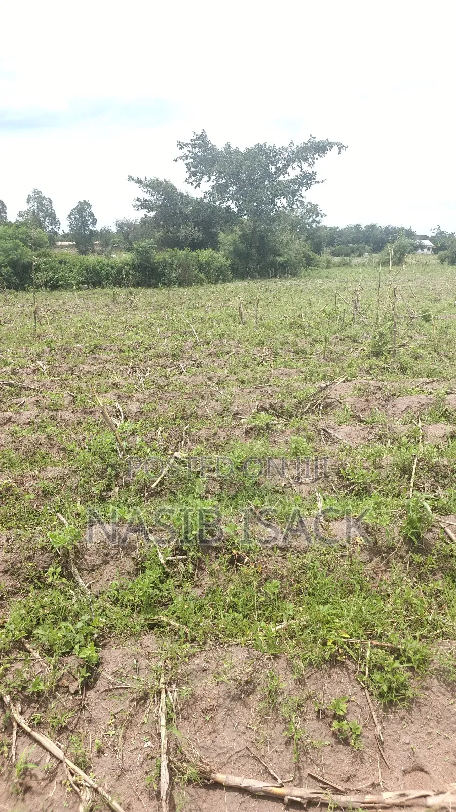 Land for Sale in Fella