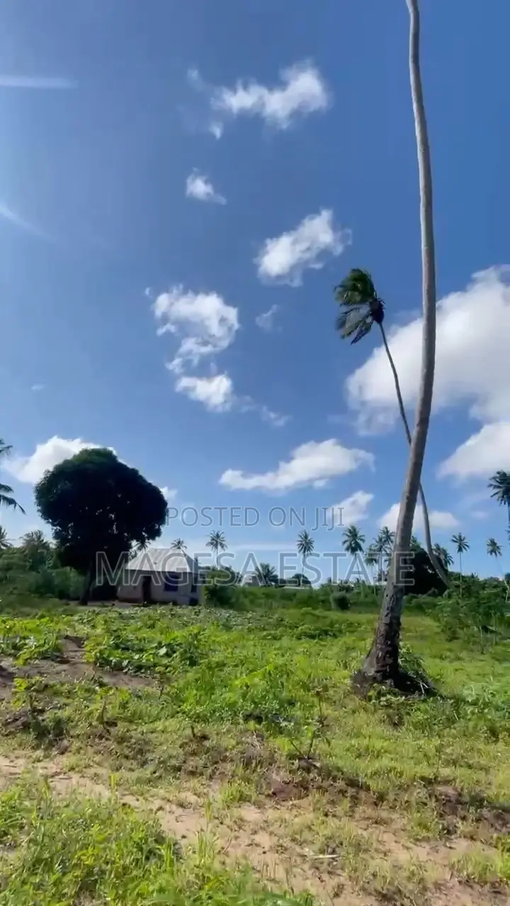 Magesa Estate in Kigamboni
